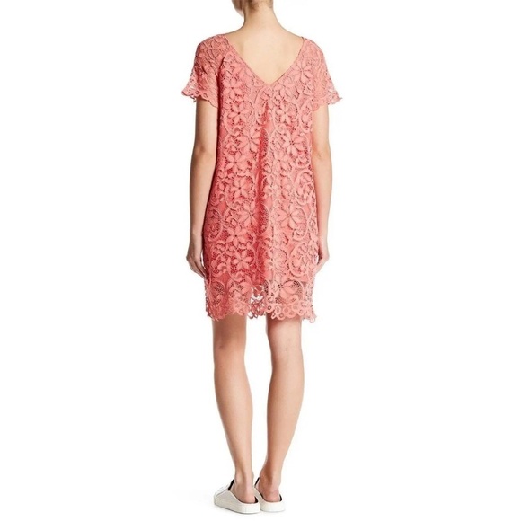 BB Dakota Coral Peach Lace Rene Shift Dress - Picture 13 of 16